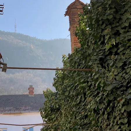 Charming Old Town Flat With Mountain View Brassó