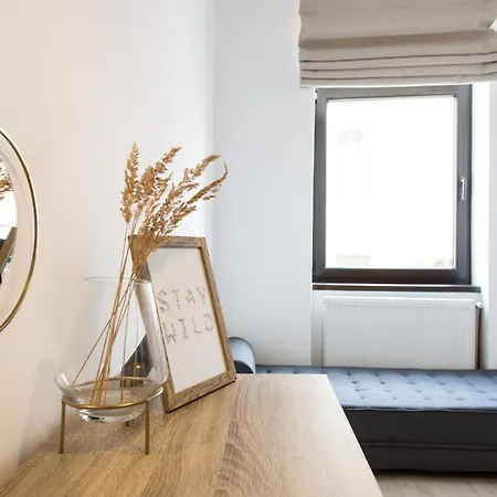 Charming Old Town Flat With Mountain View Brassó