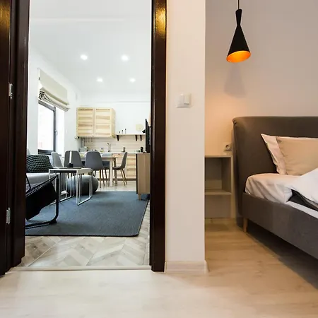 Charming Old Town Flat With Mountain View Brassó