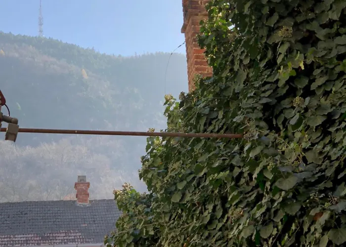 Charming Old Town Flat With Mountain View Brasov