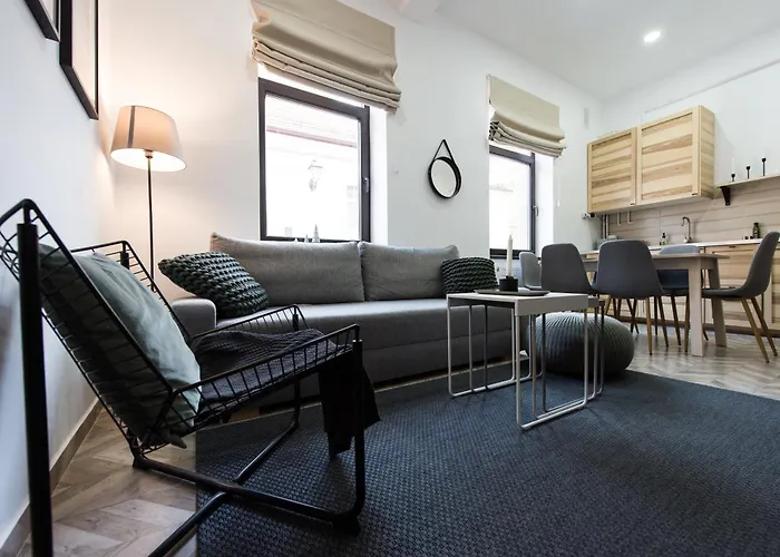 Charming Old Town Flat With Mountain View Brasov